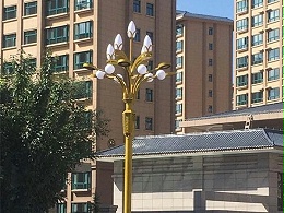 鑫永虹照明玉兰中华灯光临平凉新洲嘉苑