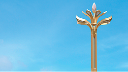 户外道路照明特色景观玉兰灯为何深受城市喜欢？