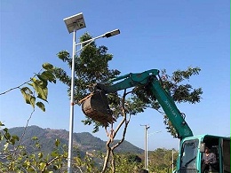 鑫永虹照明漳州再添新农村LED太阳能路灯案例