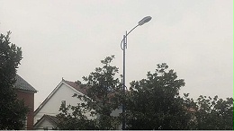 回到家乡，鑫永虹10年前生产的路灯依旧光彩照人