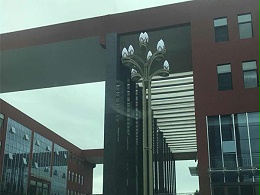 太阳能路灯厂家鑫永虹照明10米LED玉兰灯工程案例