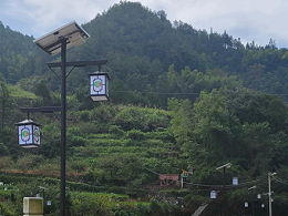鑫永虹照明福安市下洋村太阳能庭院灯工程案例