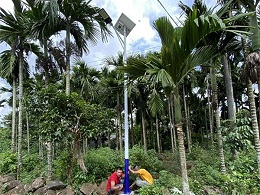 鑫永虹照明又添海南定安新农村led太阳能路灯案例