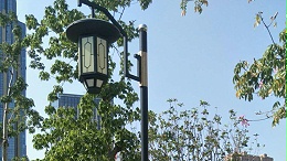 LED庭院灯-鑫永虹福建莆田小区工程案例