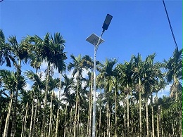 海南定安新农村太阳能路灯工程案例
