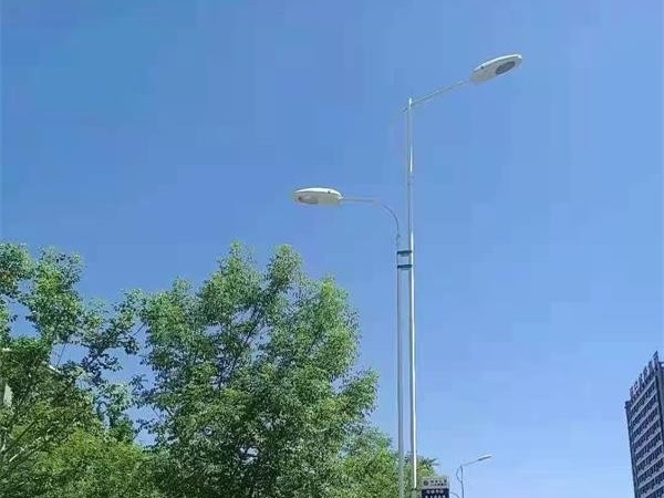 新疆伊犁市电双杆路灯工程案例