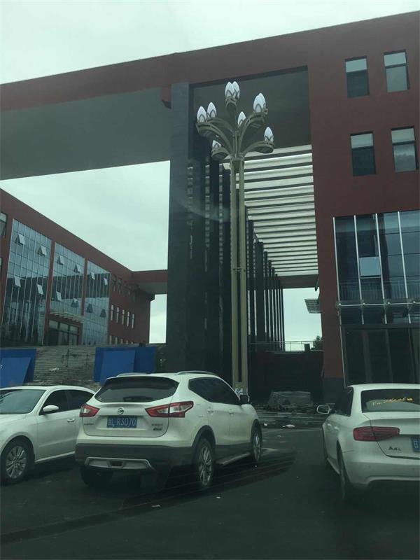 鑫永虹照明玉兰灯