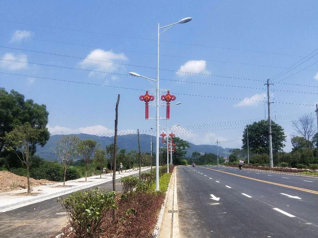 桂林永福县街道LED路灯工程案例