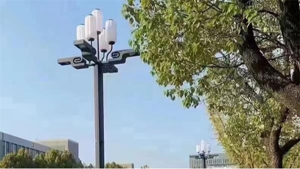 户外照明景观玉兰灯的特点以及优势有哪些？