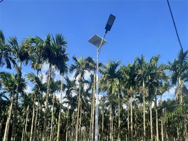 海南定安新农村太阳能路灯工程案例