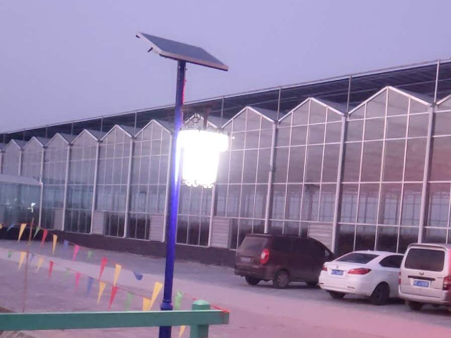 LED太阳能庭院灯-河北邢台某葡萄园基地工程案例