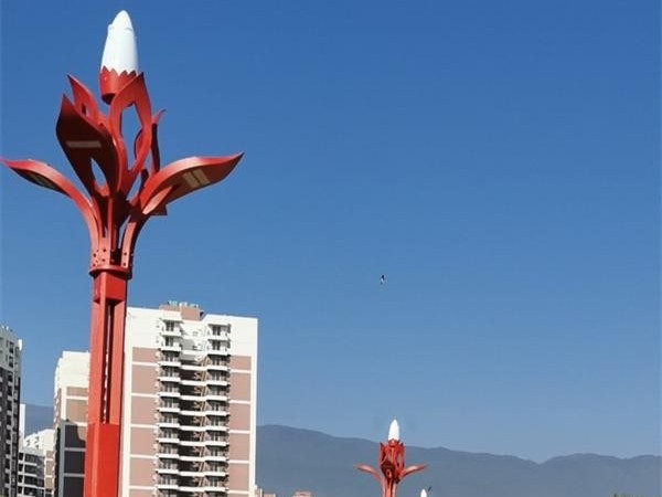 云南临沧市耿马自治县**湿地公园景观玉兰灯工程案例